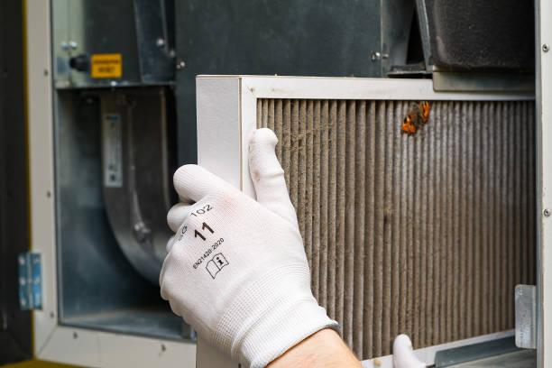 Best Emergency Air Duct Cleaning  in Madison, NC