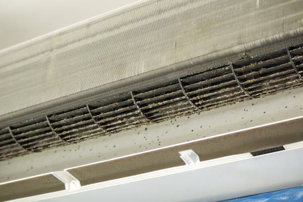 Best Home Air Vent Cleaning  in Madison, NC